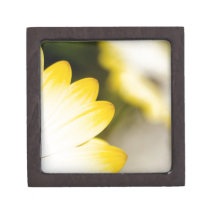 Hide and Seek Daisy Premium Keepsake Boxes