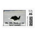 Hide and seek postage by cmaupin3 Hide and seek postage