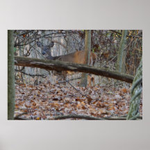 HIDE AND SEEK POSTERS