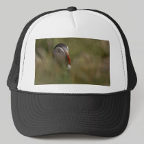 Hide and Seek Puffin hats