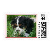 Hide and Seek Stamps