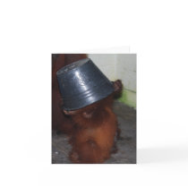 Hide and Seek Wildlife Notecard by Rebecca_Reeder Hide and Seek Wildlife Notecard