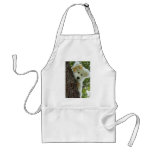 Hide & Seek aprons