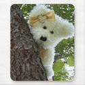Hide & Seek mousepads