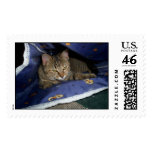 HideNseek postage