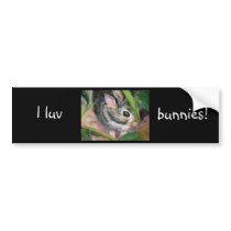 Hiding ACEO Bumper Sticker