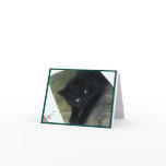 Hiding Greeting Cards