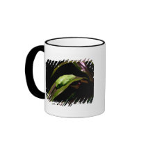"Hiding in Plain Sight" fringe border mug
