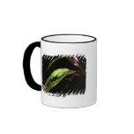 "Hiding in Plain Sight" fringe border mug