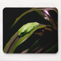 "Hiding in Plain Sight" mousepad