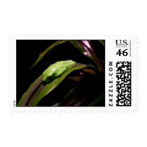 "Hiding in Plain Sight" postage