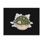 hiding in shell in turtle post card