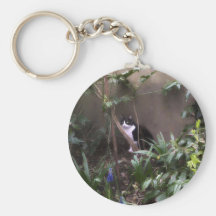 Hiding Key Chains