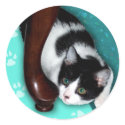 Hiding Kitty Cat Sticker