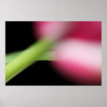 Hiding Posters