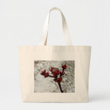 hielo storm.jpg de la primavera bolsa lienzo