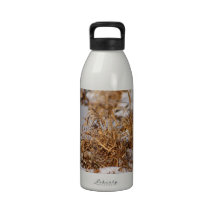 Hierba del invierno botellas de beber