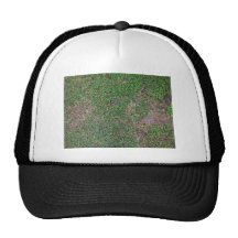 Hierba, suciedad, y mala hierba del dólar gorra