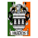 Higgins Coat of Arms Irish Flag Print