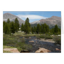 High Country Mountain Stream III Card