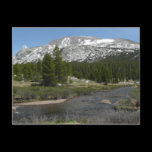 High Country Mountain Stream Postcard