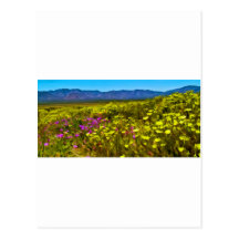 High Desert Color Post Cards