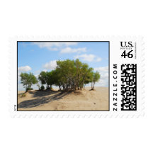 High Desert Postage
