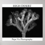 HIGH DESERT POSTERS