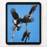 High Five - Baudin's Cockatoo Mouse Pad