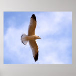 High In The Sky Posters