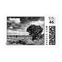 High Noon Postage Stamps
