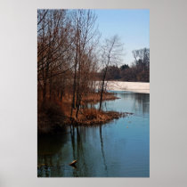 High Park Thaw 2008 Print