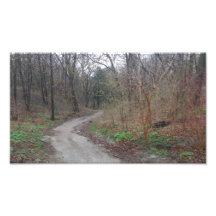 High Park Trail Photo Print