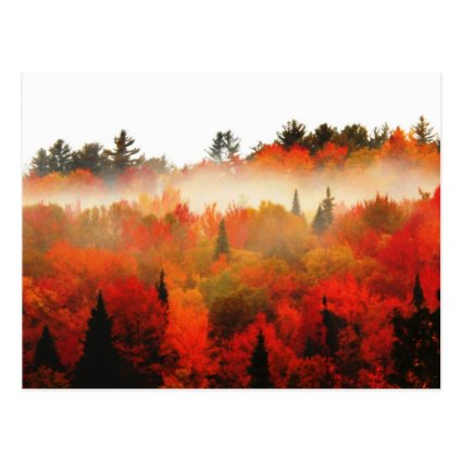 High Peaks Adirondacks Autumn Mountains Forest Postcards