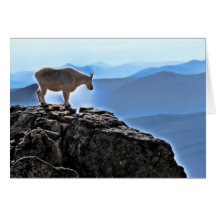 High Rockies Sentinel Greeting Card