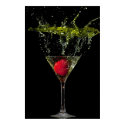 High Speed Splash Poster print