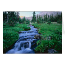 HIGH UINTAS WILDERNESS, UTAH. Stillwater Fork Cards