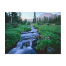HIGH UINTAS WILDERNESS, UTAH. Stillwater Fork Post Card