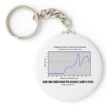 Higher Order Evolution Begins Adequate Amt Oxygen Key Chain