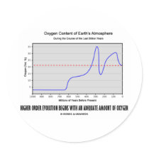 Higher Order Evolution Begins Adequate Amt Oxygen Round Stickers