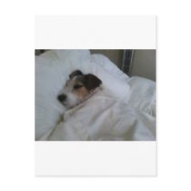 Highest Quality Postcards