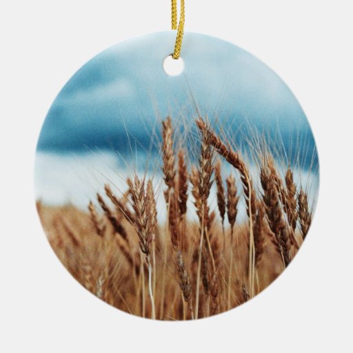 Highfill's Wheat Ornament Zazzle