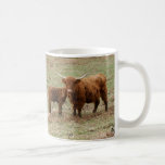 Highland Cattle 9Y316D-043 Coffee Mug