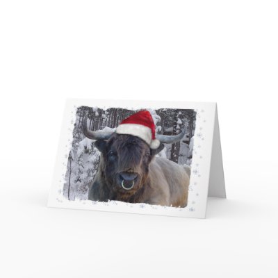 Highland Cattle Christmas Card by pawtraitart