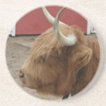 Highland Cattle Cow Beverage Coasters
