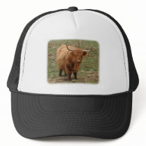 Highland Cow 9Y316D-053 hats by TraffordPhotos Highland Cow 9Y316D-053 hats