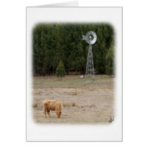 Highland Cow 9Y345D-041 cards