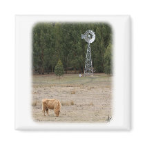 Highland Cow 9Y345D-041 magnets