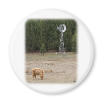 Highland Cow 9Y345D-041 magnets