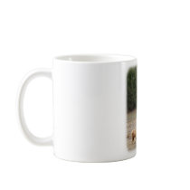 Highland Cow 9Y345D-041 mugs